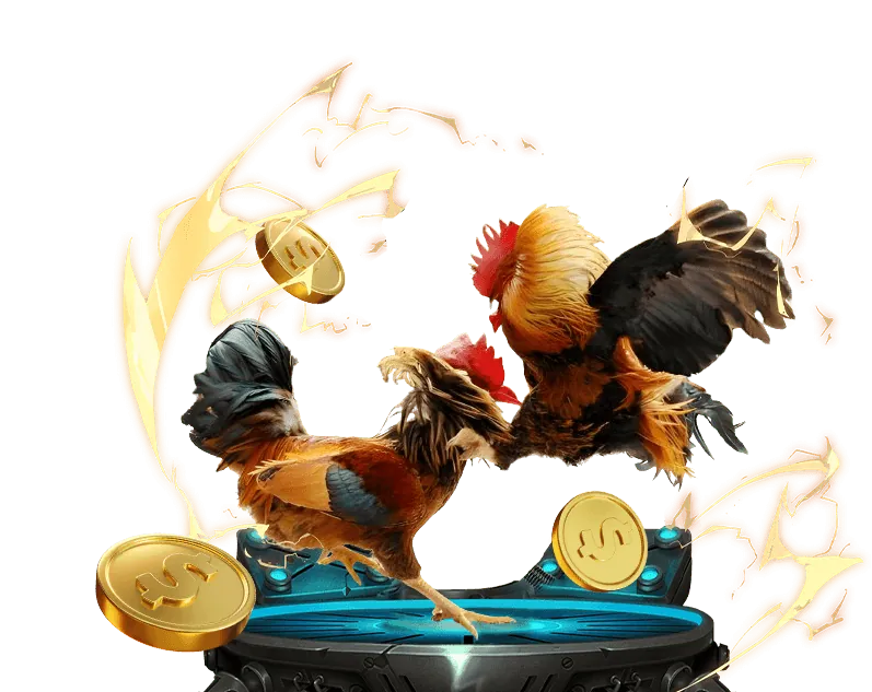 Tổng quan về các điều khoản dịch vụ của so66, thể hiện sự minh bạch và công bằng